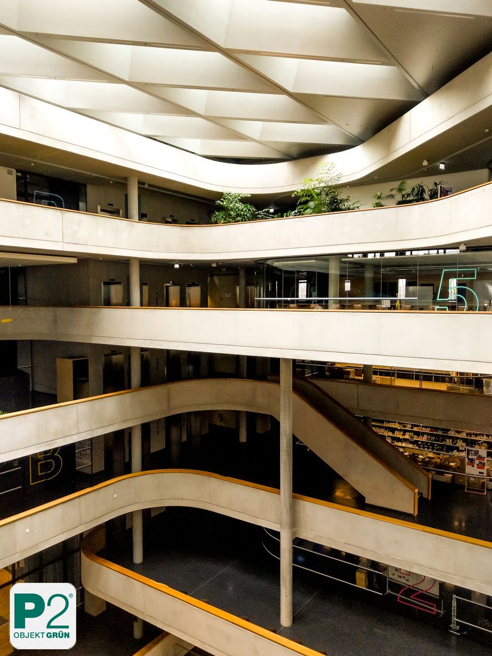 Lichtdurchfluteter Innenraum mit verschiedenen Topfpflanzen