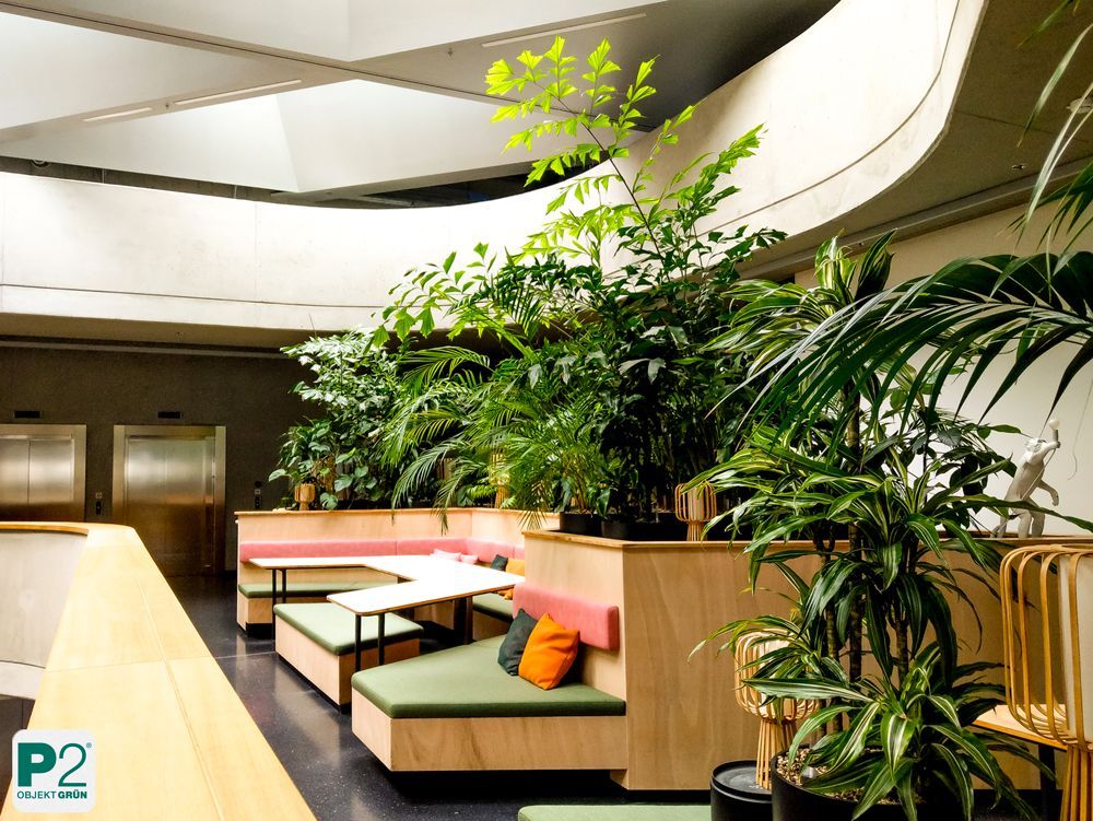 Lichtdurchfluteter Innenraum mit verschiedenen Topfpflanzen