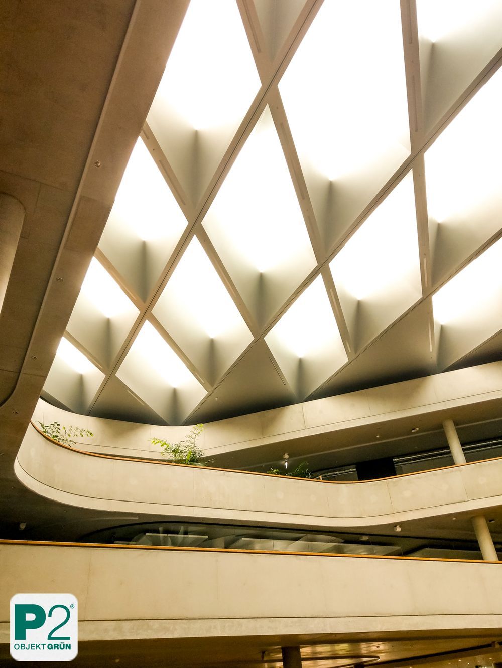 Lichtdurchfluteter Innenraum mit verschiedenen Topfpflanzen