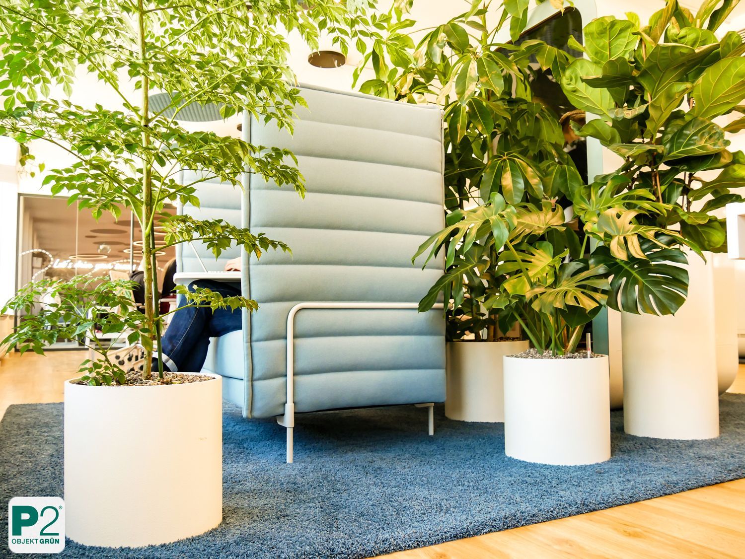 Moderner blauer Sessel mit hoher Rückenlehne umgeben von großen grünen Pflanzen in weißen Töpfen auf blauem Teppich