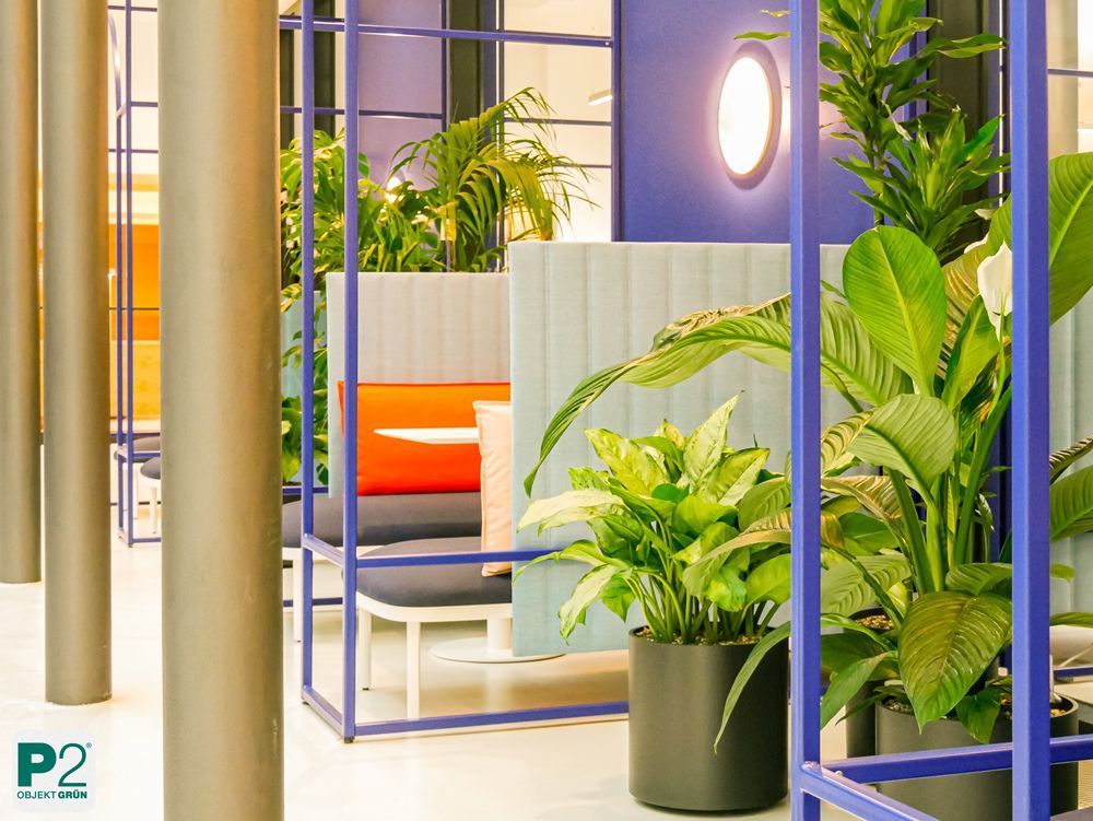 Modernes Büro mit Pflanzen und stilvollem Design