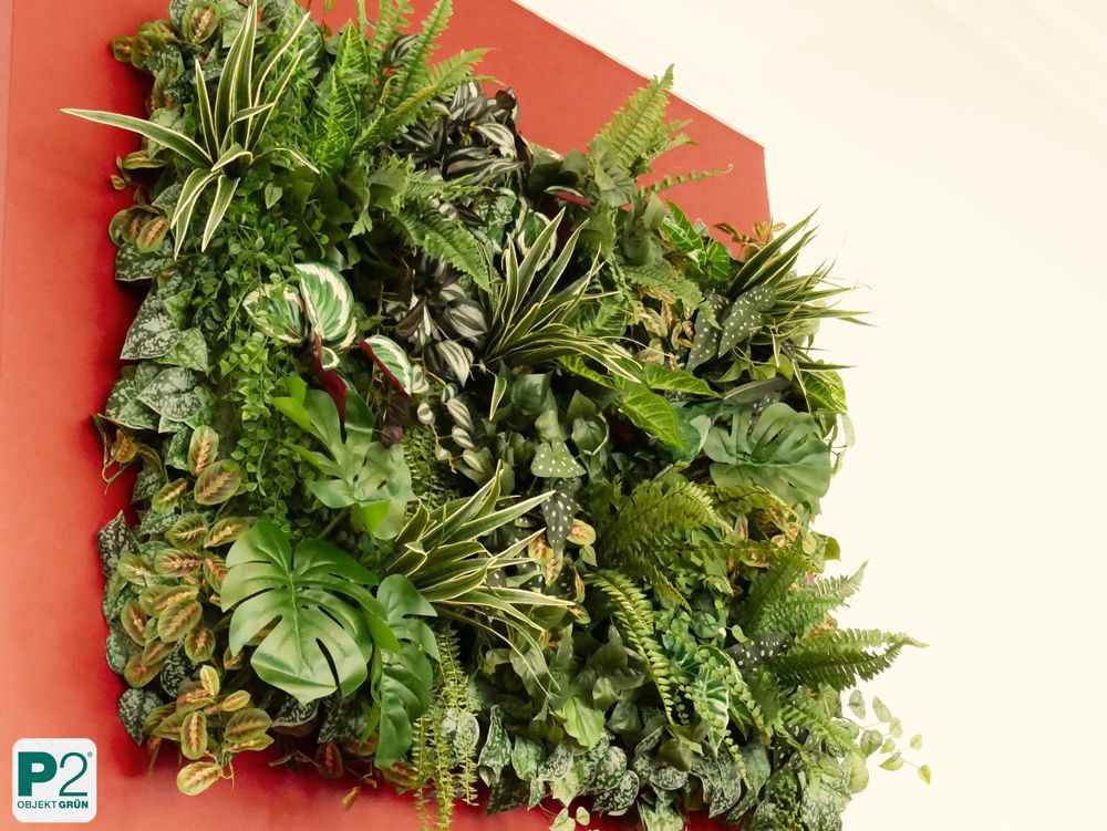 Pflanzenwand