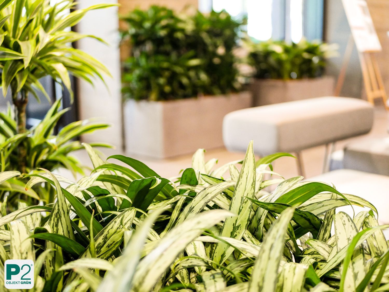 Moderne Lobby mit grünen Pflanzen und gemütlichen Sitzgelegenheiten.