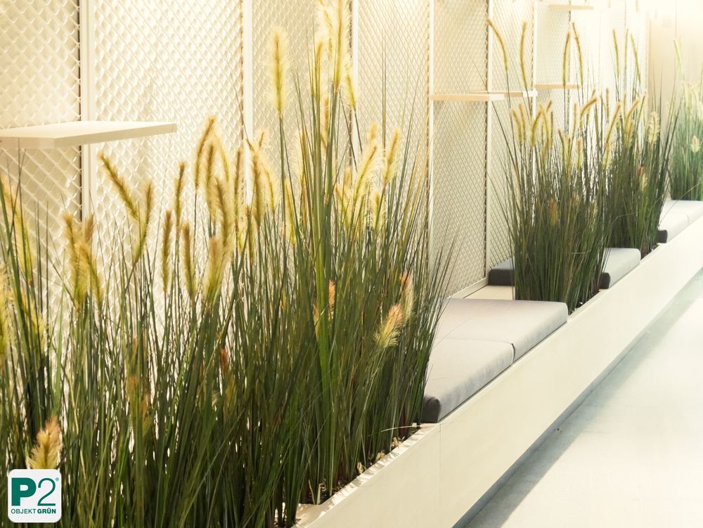 Frische grüne Pflanzen für eine moderne Raumgestaltung.