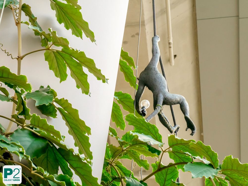 Eine skulptierte Affenfigur hängt mit einem Arm an einer Schnur, in der anderen Hand hält sie eine Glühbirne