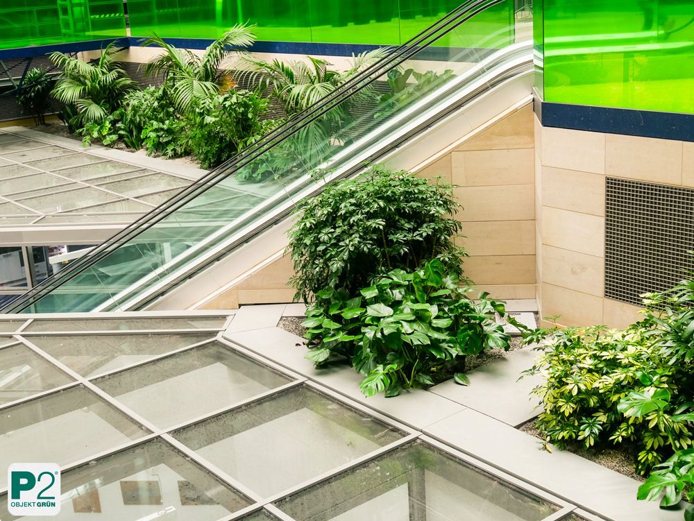Innenansicht mit grünen Pflanzen und Glasaufzug