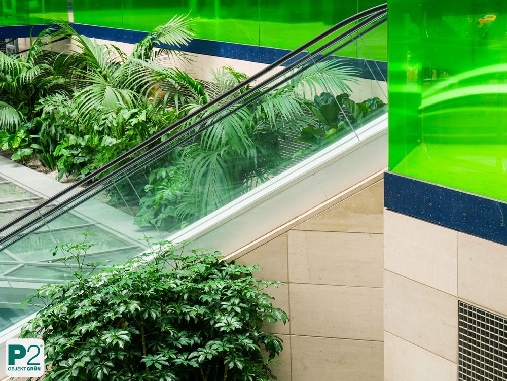 Innenansicht mit grünen Pflanzen und Glasaufzug