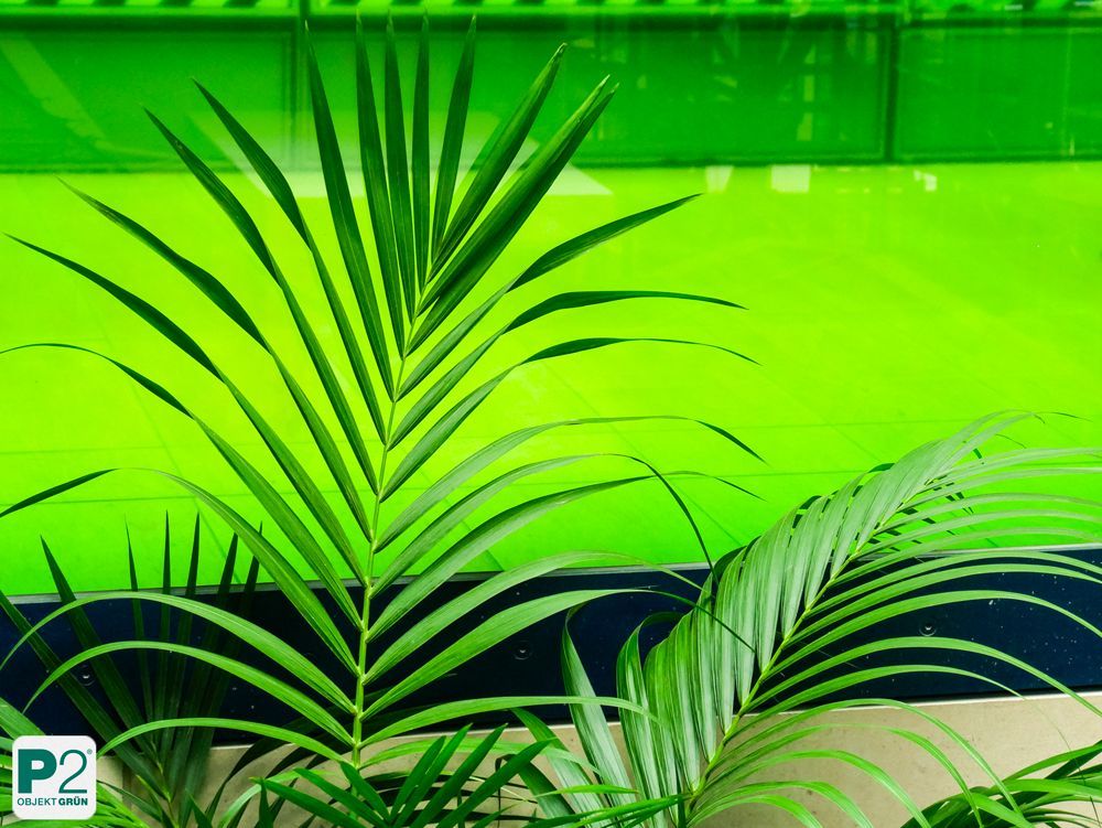 Nahaufnahme einer grünen Pflanze vor einem leuchtend grünen Hintergrund.