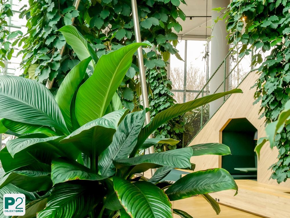 Üppige grüne Pflanzen in einem modernen Innenraum
