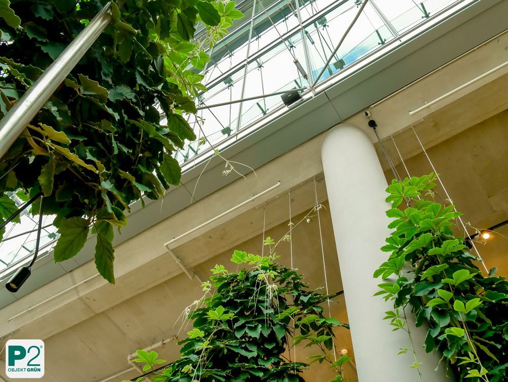 Moderner Innenraum mit Pflanzen