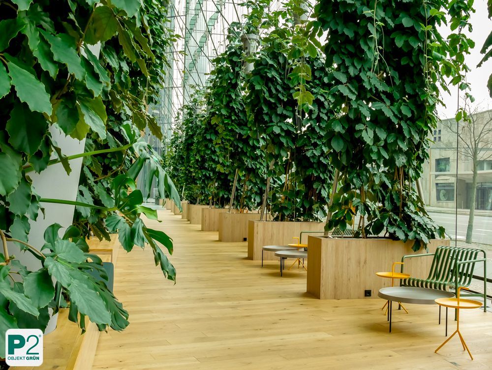 Moderner Innenraum mit Pflanzen und Holzfußboden