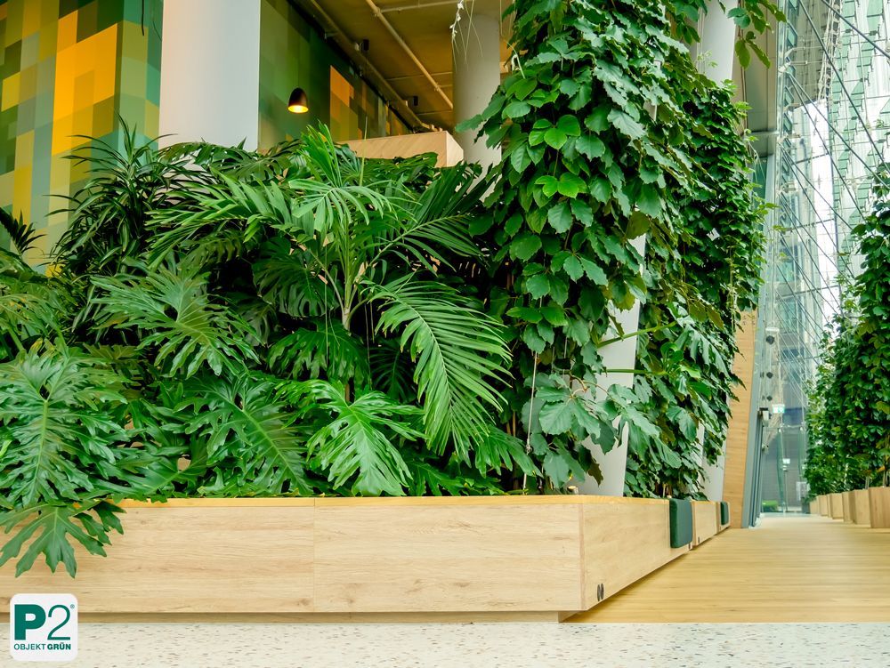 Innenansicht mit üppigen Pflanzen in einem modernen Raum.