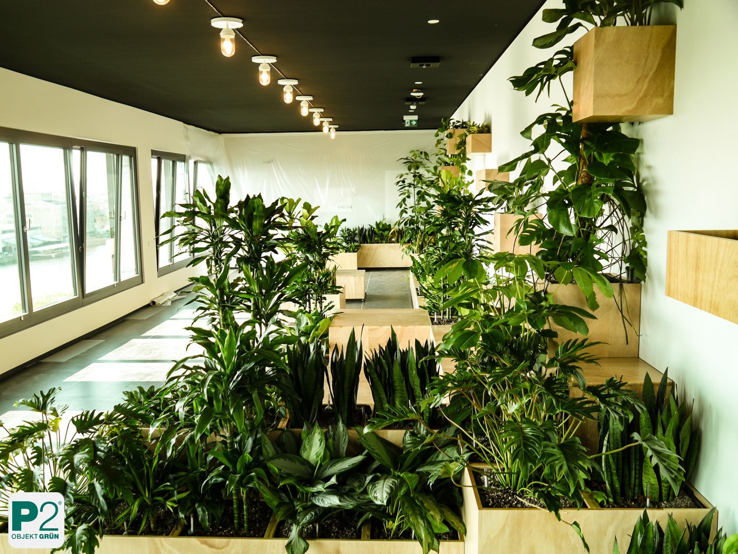 Moderne Architektur mit grünen Elementen und Pflanzen