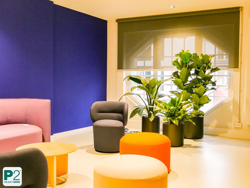 Raumgestaltung mit lebendigen Pflanzen und Fensterblick