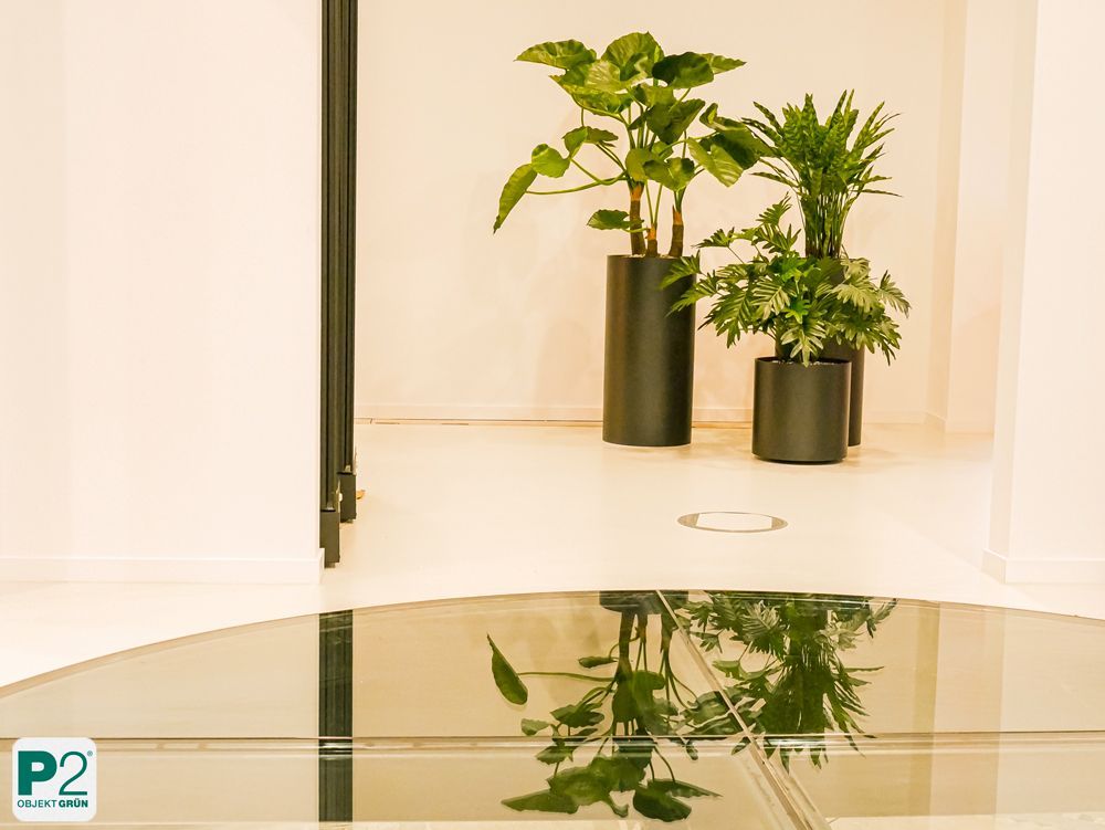 Moderne Büro-Pflanzen in stilvollen Töpfen