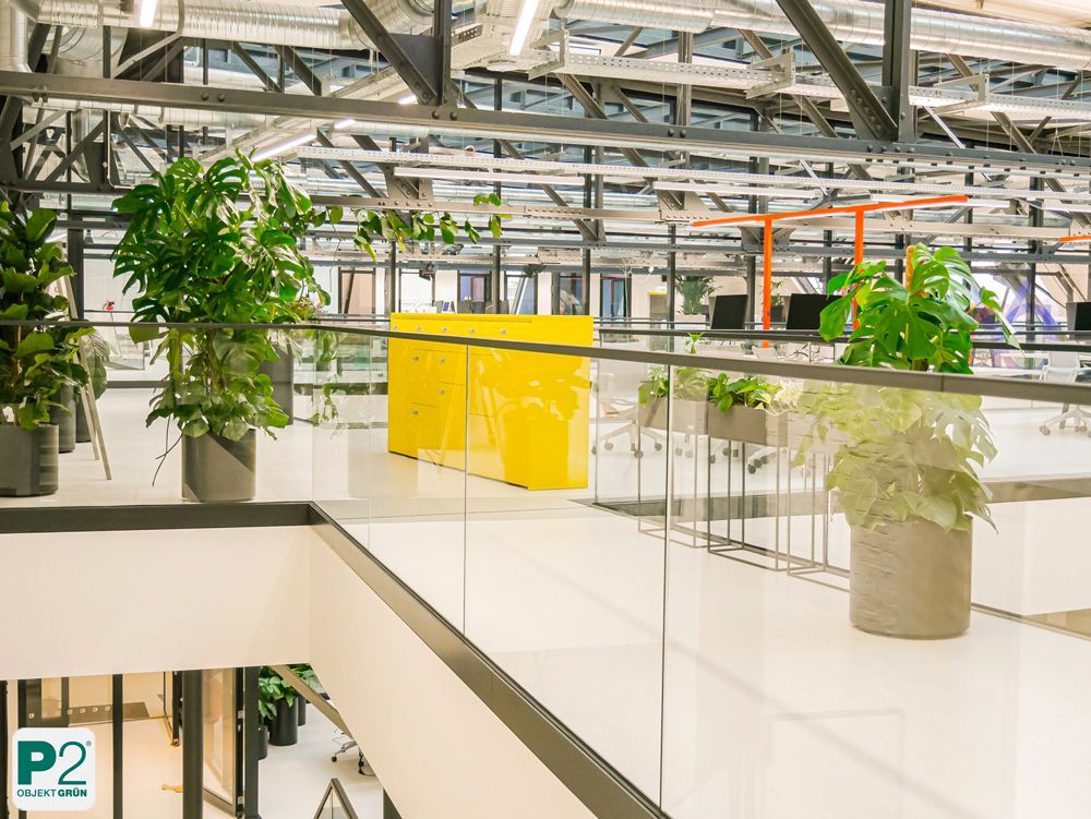 Modernes Büro mit Pflanzen und stilvollem Design