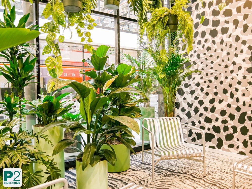 Raumgestaltung mit lebendigen Pflanzen und Fensterblick