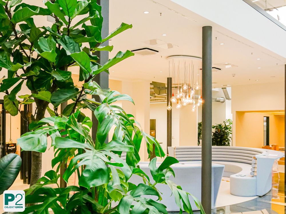 Modernes Büro mit Pflanzen und stilvollem Design