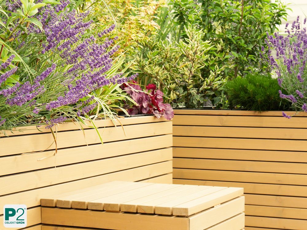 Holzbank mit integriertem Pflanzkasten, bepflanzt mit Lavendel und anderen grünen Pflanzen