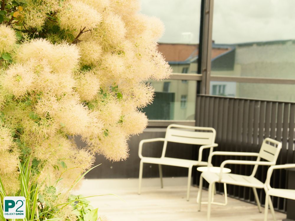 Balkon mit weißen Metallstühlen und Tisch neben blühendem Ziergras, moderner Stadtblick im Hintergrund
