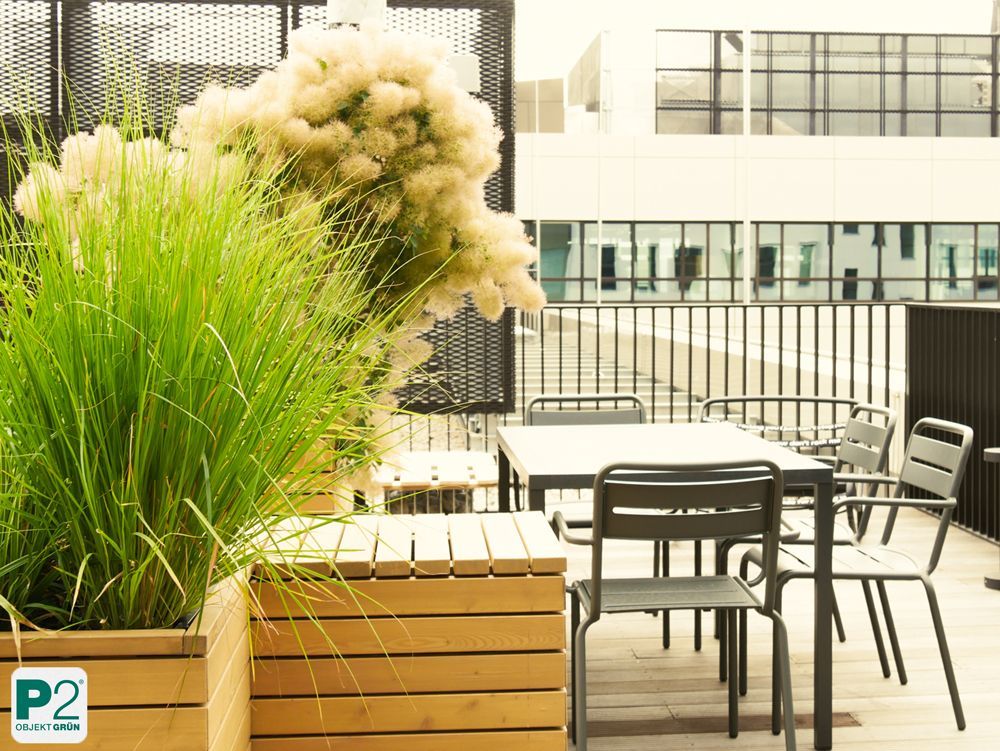 Moderner Außenbereich mit Holzpflanzkübeln und schwarzen Metallstühlen auf Terrasse vor Bürogebäude
