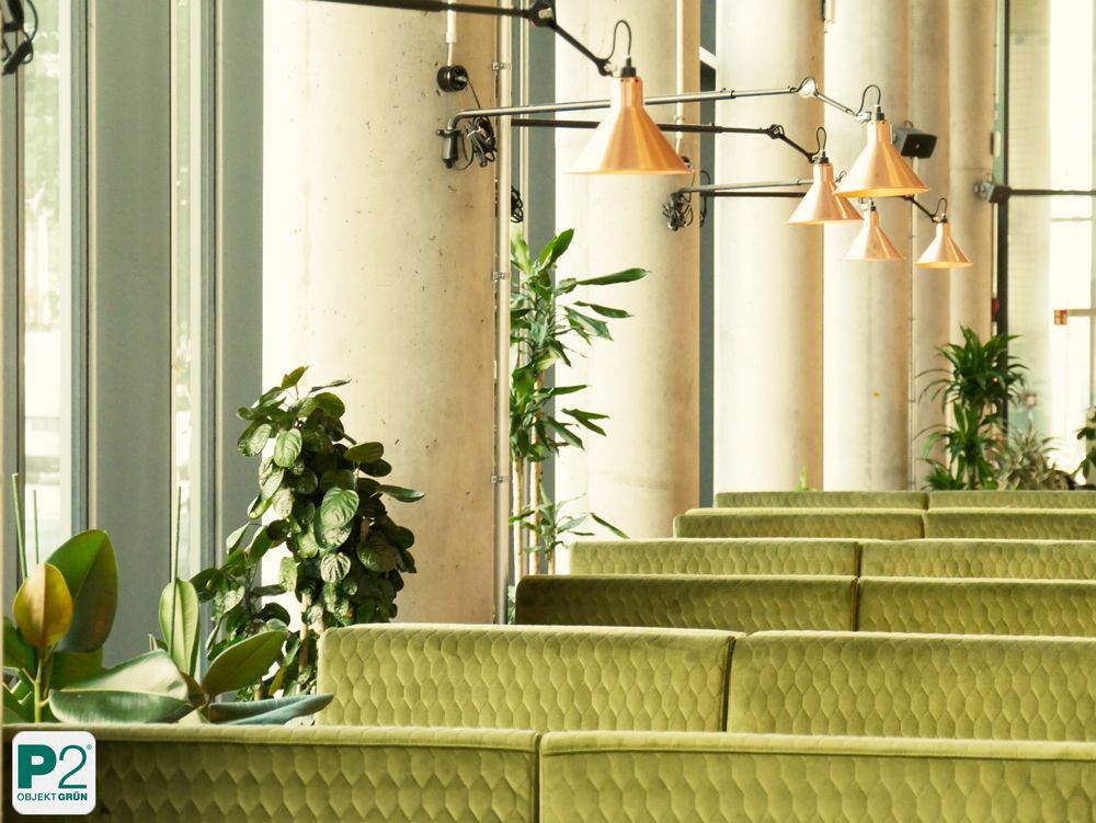 Gemütlicher Innenraum eines Cafés mit grünen Pflanzen und moderner Beleuchtung.