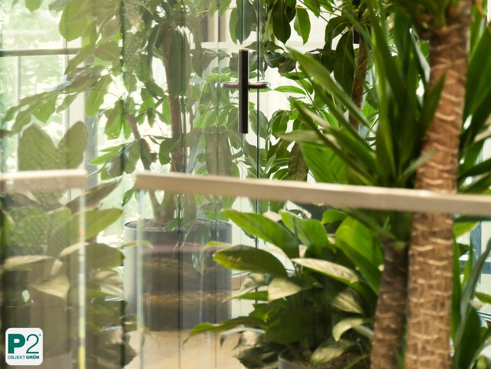 Grüner Raum mit verschiedenen Pflanzen und Glaswänden.