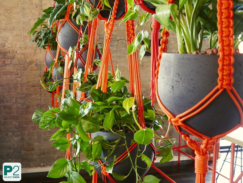 Mehrere grüne Zimmerpflanzen in grauen Töpfen, aufgehängt mit orangefarbenen Makramee-Haltern vor Backsteinwand