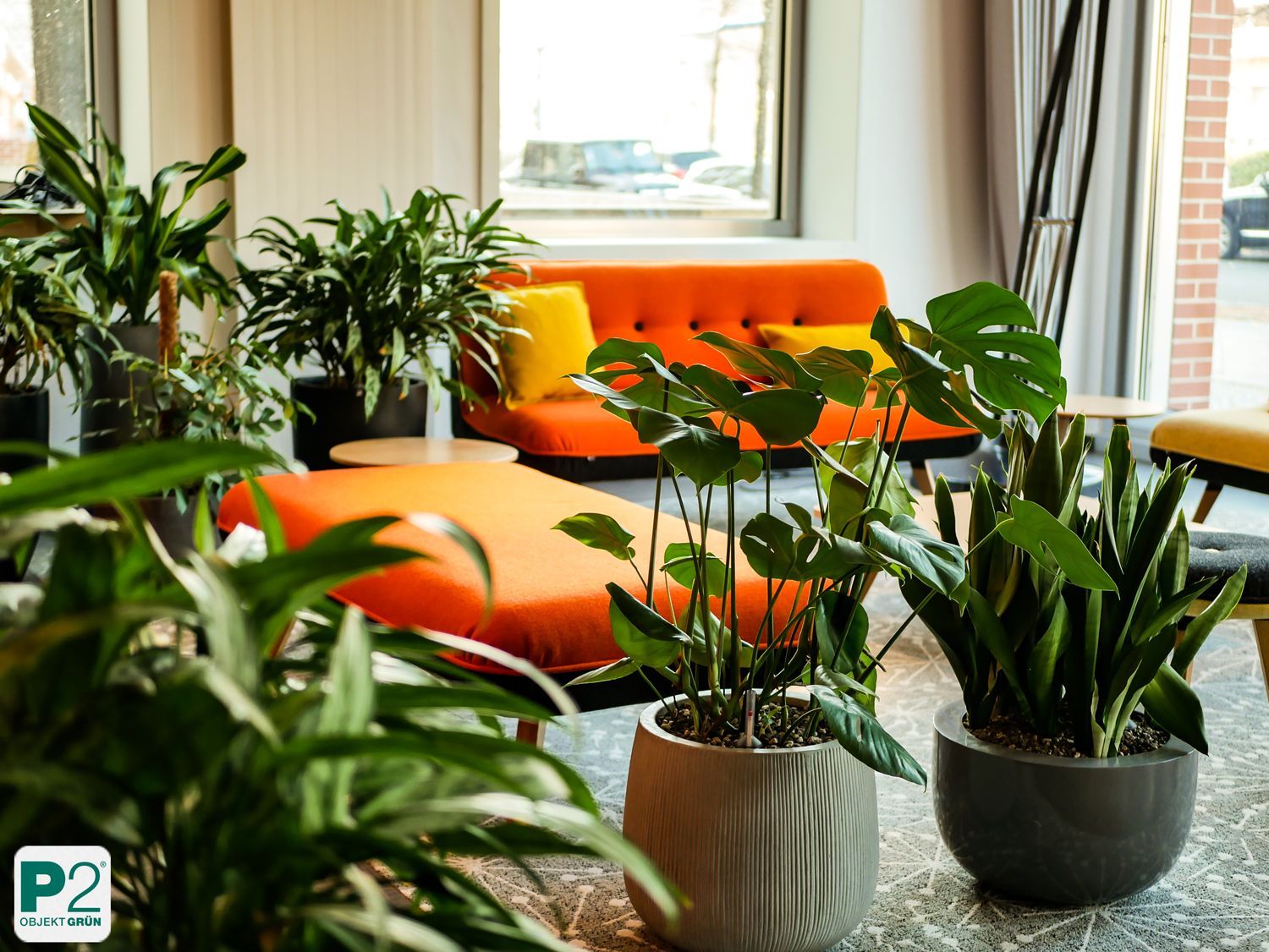 Gemütliches Wohnzimmer mit grünen Pflanzen und orangefarbenem Sofa.