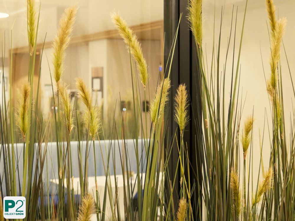Dekorative Pflanzen in einem modernen Büro mit Fenstern.