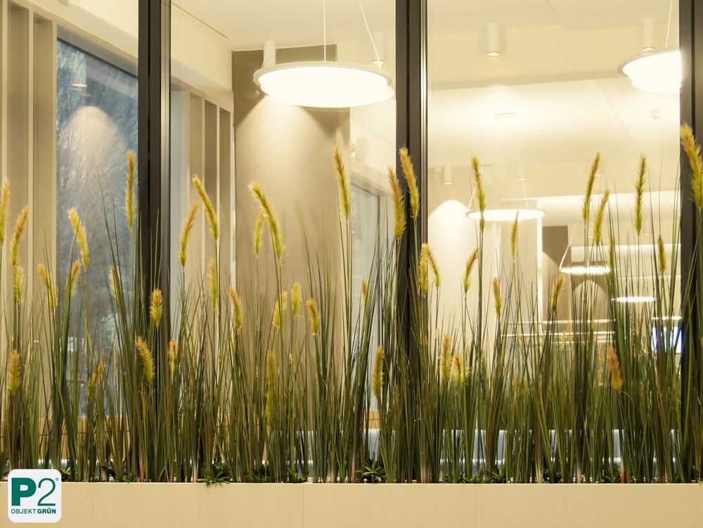 Dekorative Pflanzen in einem modernen Büro mit Fenstern.
