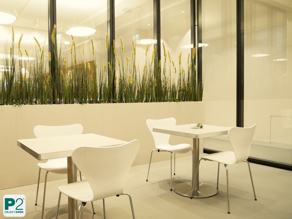 Dekorative Pflanzen in einem modernen Büro mit Fenstern.