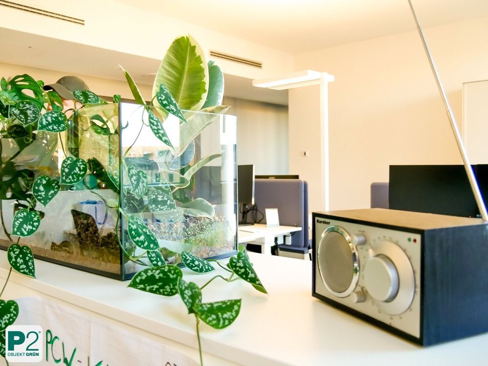 Eine Ansammlung von grünen Pflanzen in einem modernen Büro.