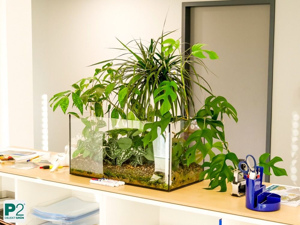 Eine Ansammlung von grünen Pflanzen in einem modernen Büro.