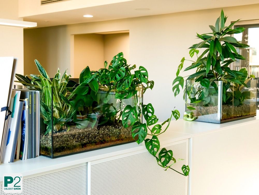 Eine Ansammlung von grünen Pflanzen in einem modernen Büro.