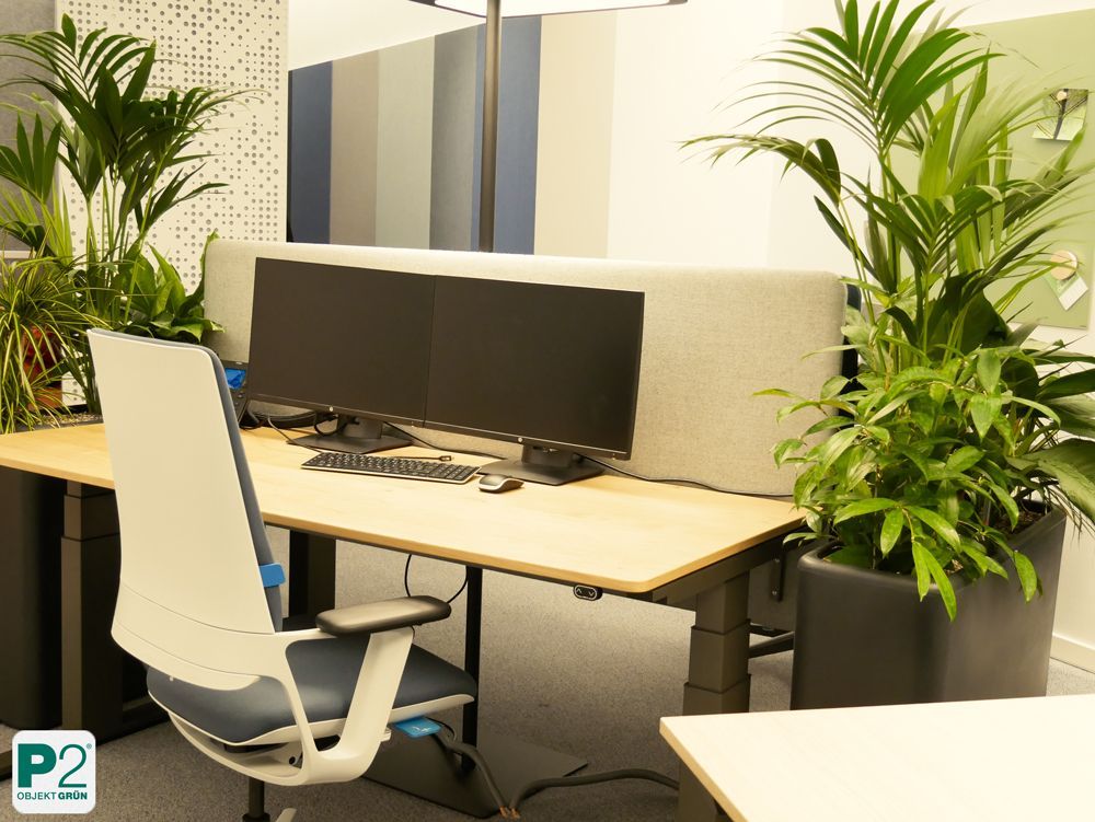 Modernes Büro mit Pflanzen