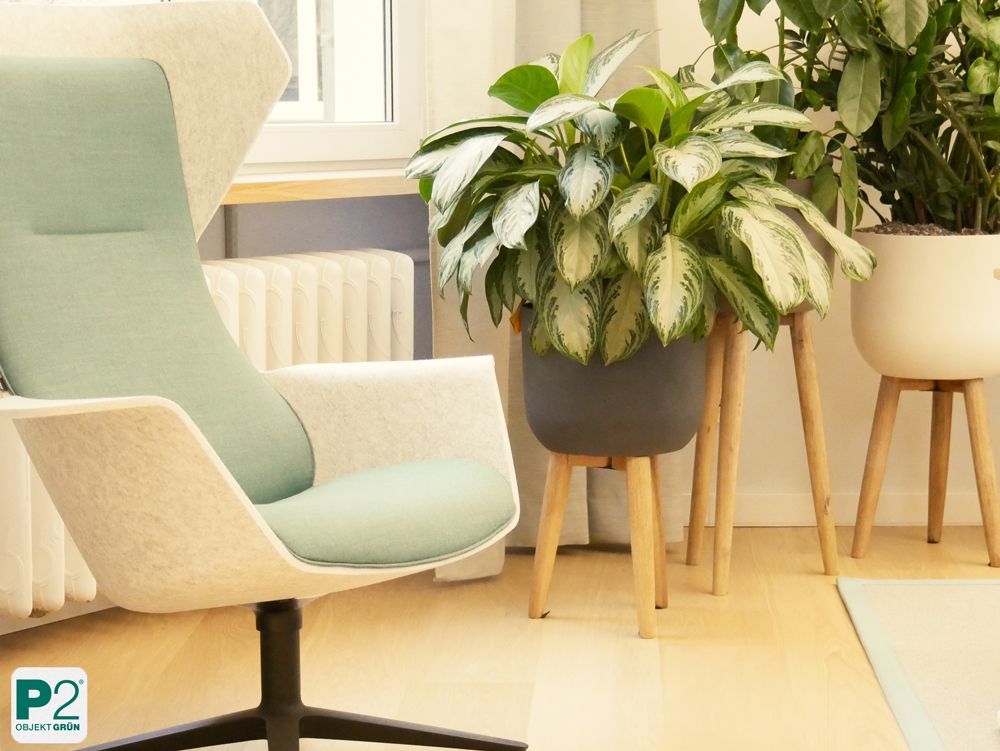 Moderner Sessel mit grünen Pflanzen im Hintergrund.
