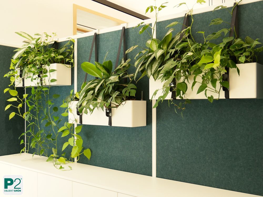 Modernes Wandregal mit einer schönen Pflanze.