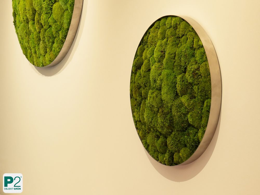 Grünes Moosbild an der Wand