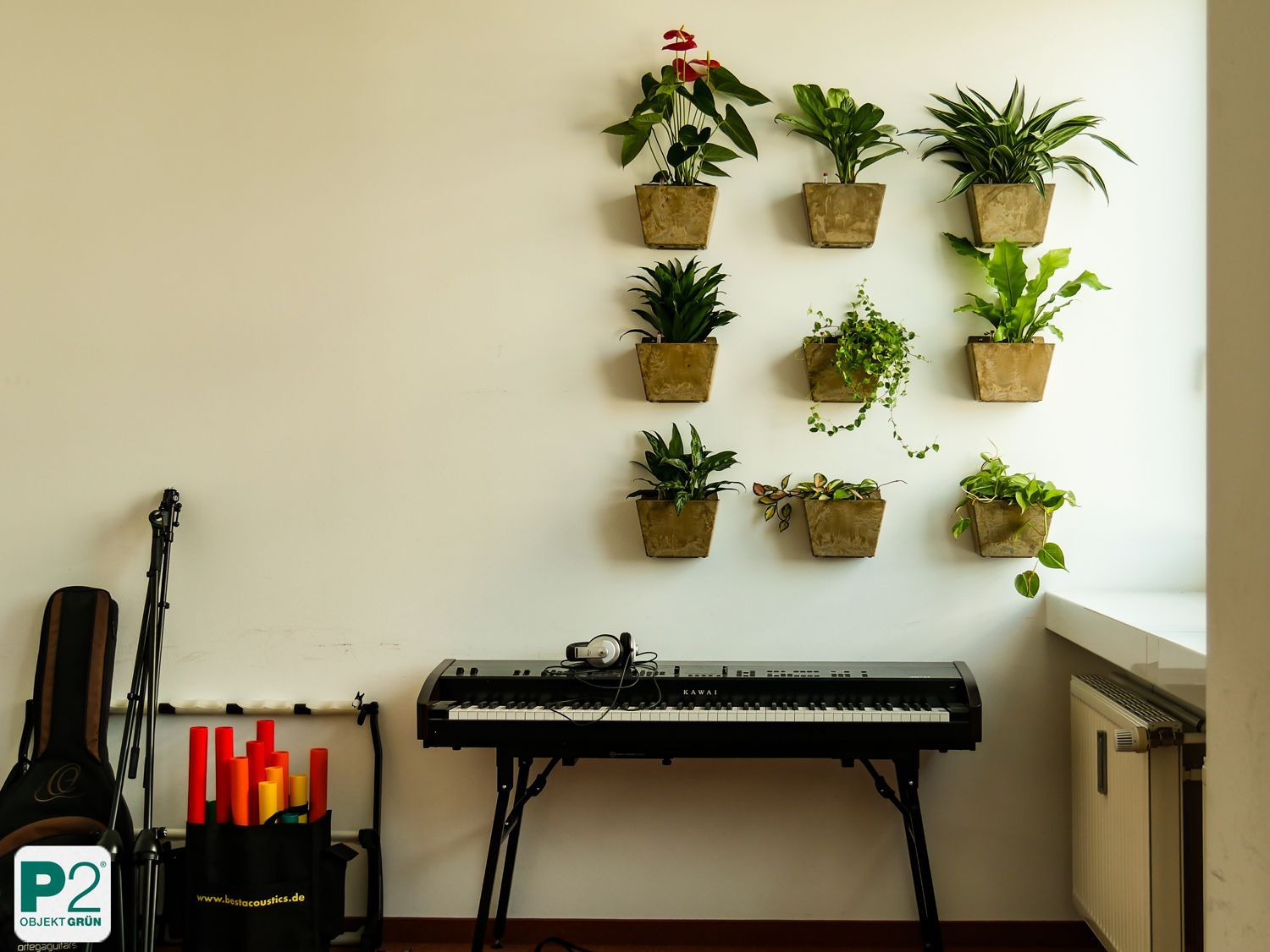 Stilvolle Wand mit dekorativen Pflanzen in modernen Töpfen.