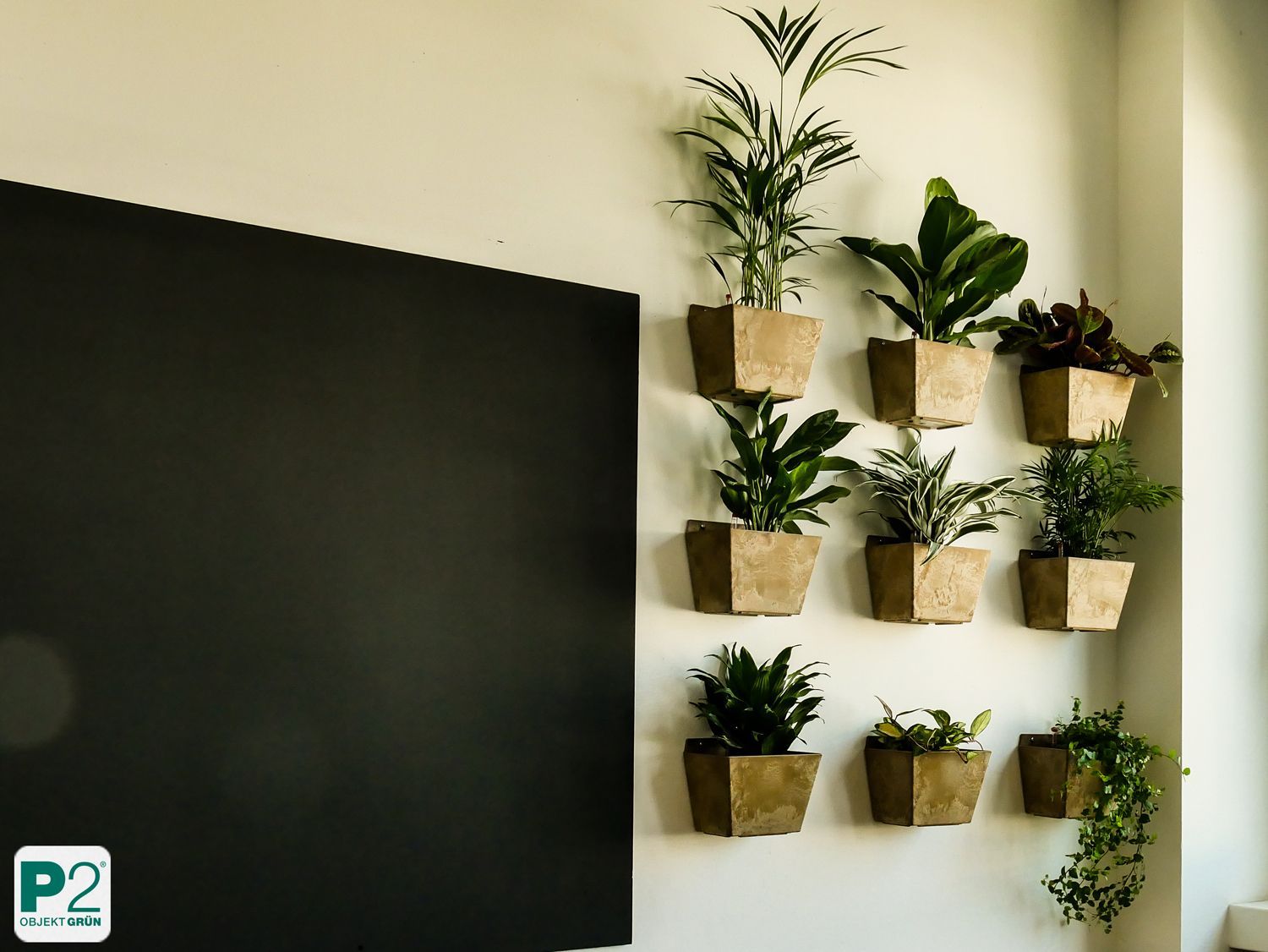 Stilvolle Wand mit dekorativen Pflanzen in modernen Töpfen.