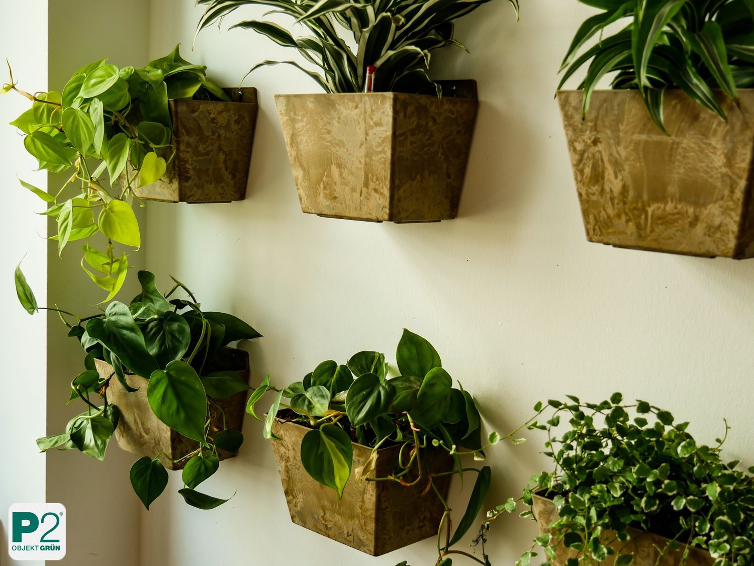 Stilvolle Wand mit dekorativen Pflanzen in modernen Töpfen.