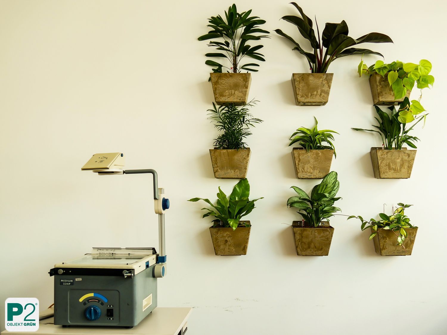 Stilvolle Wand mit dekorativen Pflanzen in modernen Töpfen.