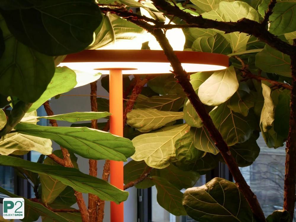 Eine moderne Lampe, die unter einem Baum platziert ist, umgeben von grünen Blättern.