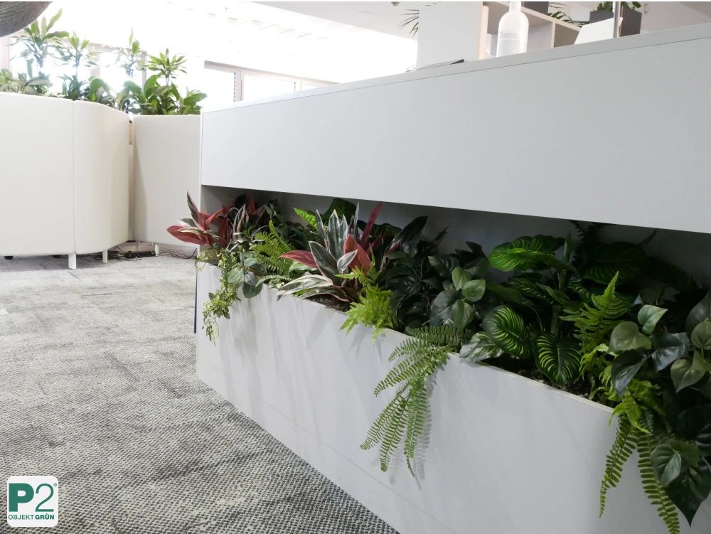 Moderner Pflanzkasten mit verschiedenen Pflanzen im Büro