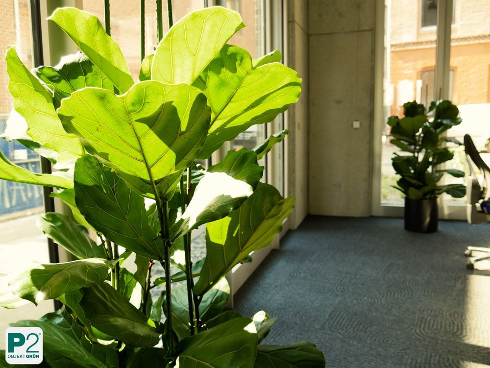 Stilvolles Bürodesign mit einer Pflanze