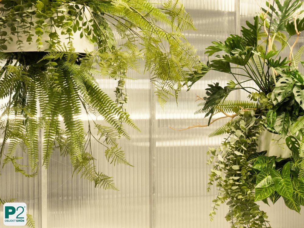 Üppiges Pflanzenarrangement in einem lichtdurchfluteten Innenraum mit weißen Wänden.