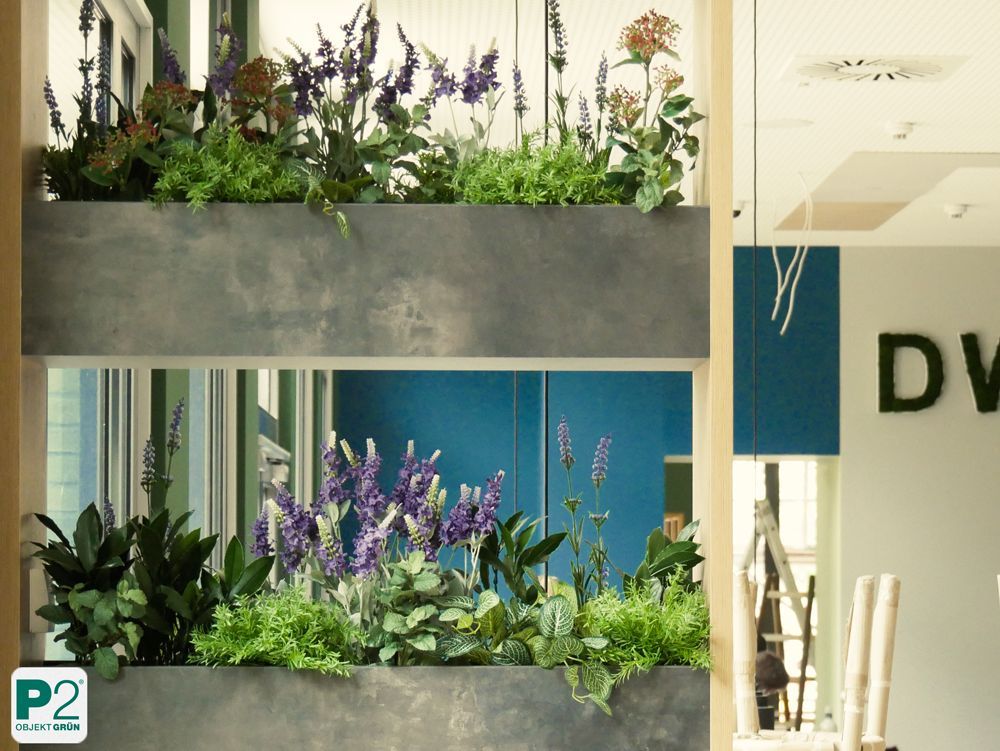 Dekorative Grünpflanzen