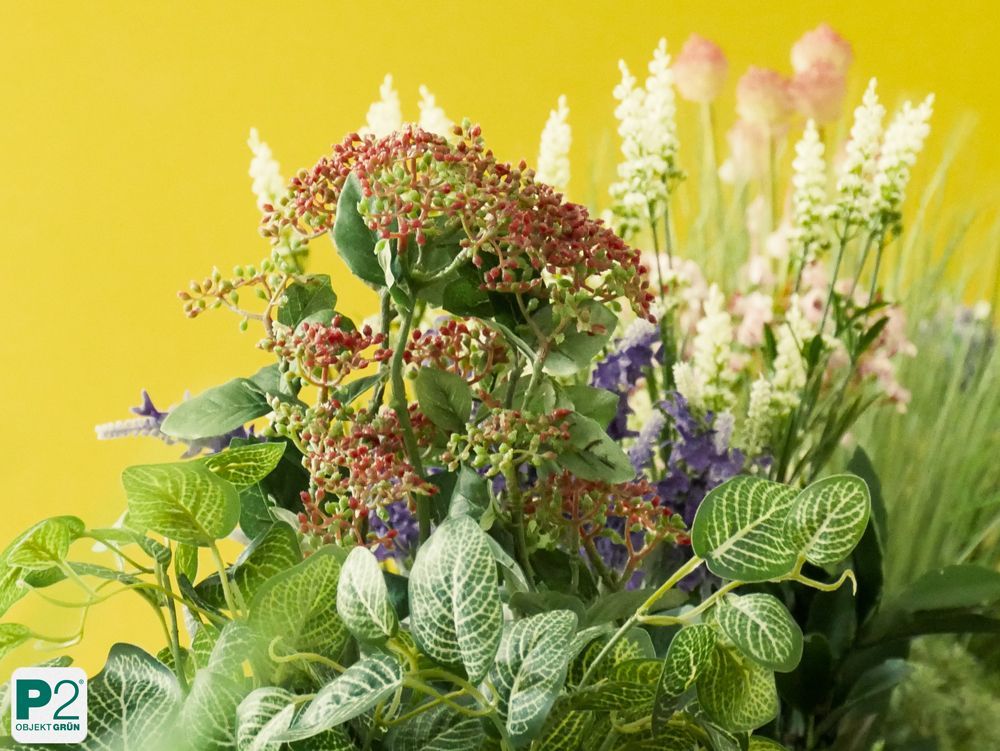 Dekorative Grünpflanzen