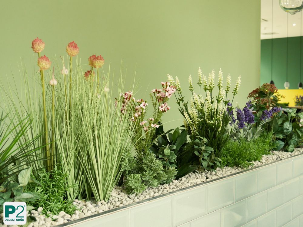 Dekorative Grünpflanzen